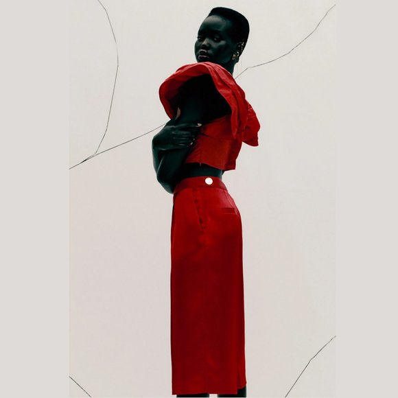 ZARA Crop Top with Ruffled Sleeves - Picture 9 of 11